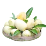 গৌড়মতি আম